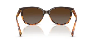 Coach Sunglasses HC8132 L109