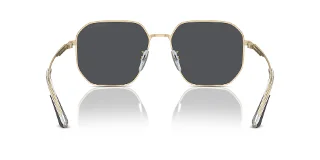 Emporio Armani Sunglasses EA2154D