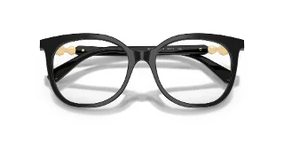 Swarovski Eyeglasses SK2055
