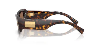Dolce & Gabbana Sunglasses DG4479F