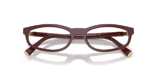 Miu Miu Eyeglasses MU01ZV