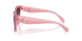 Coach Sunglasses HC8418U