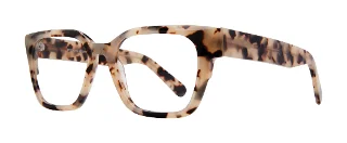 Tokyo Tortoise
