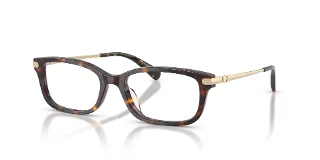 5120 Dark Tortoise