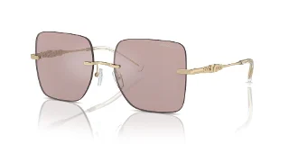 Michael Kors Sunglasses MK1150