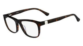 Calvin Klein Platinum Eyeglasses CK5871