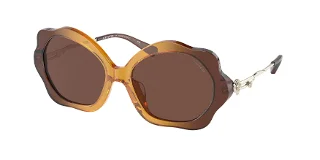 Coach Sunglasses HC8346BU