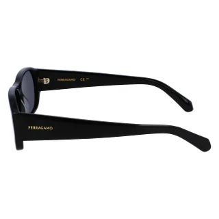 Salvatore Ferragamo Sunglasses SF1109S
