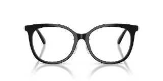 Swarovski Eyeglasses SK2055F