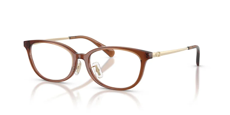 Coach Eyeglasses HC6295D