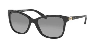 Coach Sunglasses HC8187B L1597