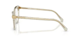 Swarovski Eyeglasses SK2046F