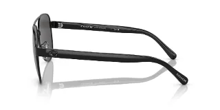 Coach Sunglasses HC7143