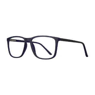 Stylewise Eyeglasses SW235