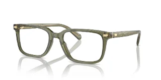 5818 Transparent Olive