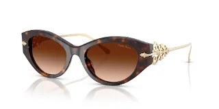 Ralph Lauren Sunglasses RL8227U