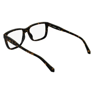Calvin Klein Collection Eyeglasses CKJ26631