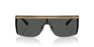 Michael Kors Sunglasses MK1169