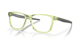 816310 Polished Transparent Fern