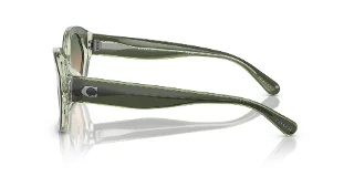 Coach Sunglasses HC8364U