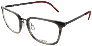 Flexon Eyeglasses B2020