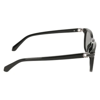 Salvatore Ferragamo Sunglasses SF2120S