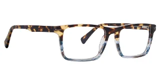 Tortoise/Grey [Tgy]