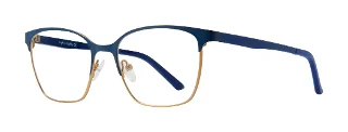 Blue/Gold