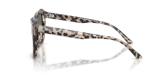 Jimmy Choo Sunglasses JC5076