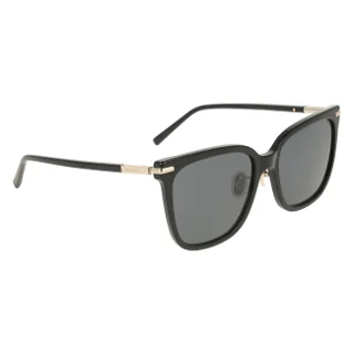 Salvatore Ferragamo Sunglasses SF2037SLB
