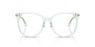Jimmy Choo Eyeglasses JC3060F