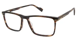 C02 Brown Horn