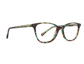 C3 Green Tortoise