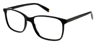 Steve Madden Eyeglasses KASSUAL
