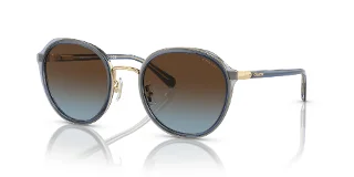 Coach Sunglasses HC7154
