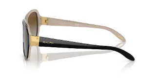 Ralph Sunglasses RA5138