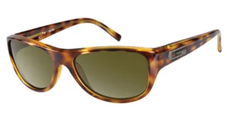 Guess Sunglasses GU 6697