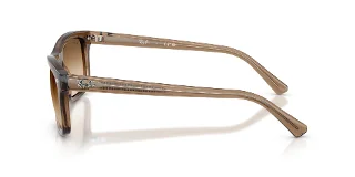 Ray Ban Sunglasses RB2226