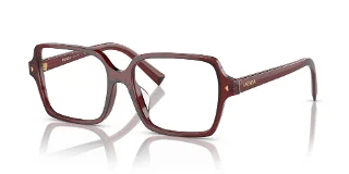 Prada Eyeglasses PRA02V