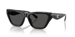 500287 Black