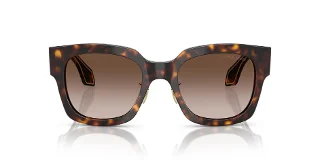 Giorgio Armani Sunglasses AR8223