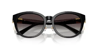 Jimmy Choo Sunglasses JC5032D