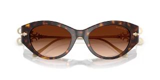 Ralph Lauren Sunglasses RL8227U