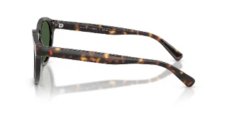 Polo Sunglasses PH4192