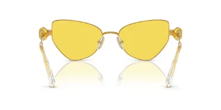 Swarovski Sunglasses SK7003