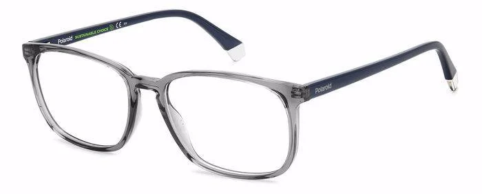 Polaroid Eyeglasses PLD D488