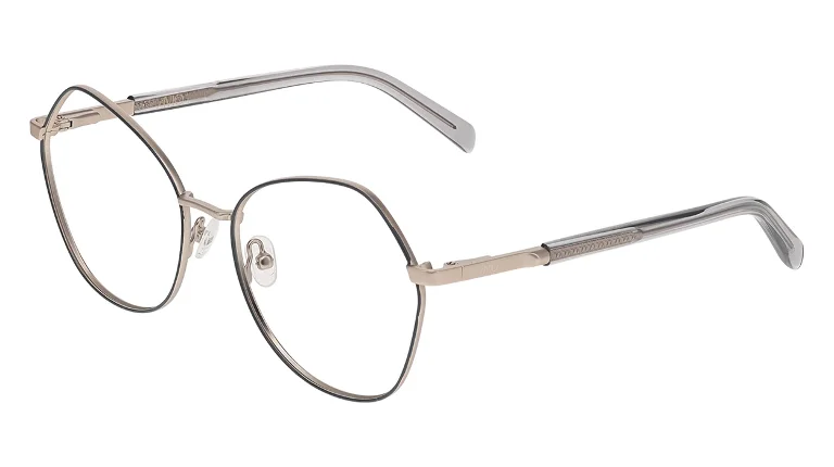 Avio Eyeglasses AOV2316