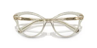 Swarovski Eyeglasses SK2030