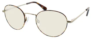 Tortoise/Gold