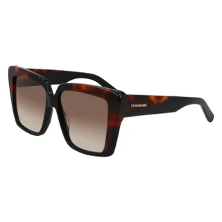 006 Black/Tortoise